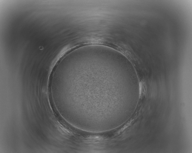 X0000068280195200604281626