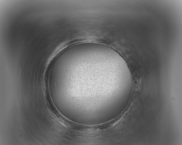 X0000068280198200604281626