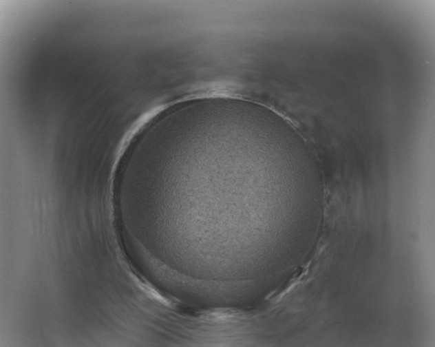 X0000068280200200604281626