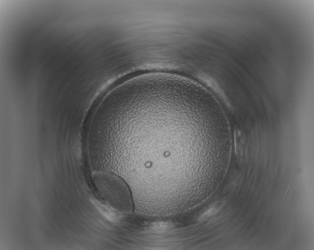 X0000068280204200604281626