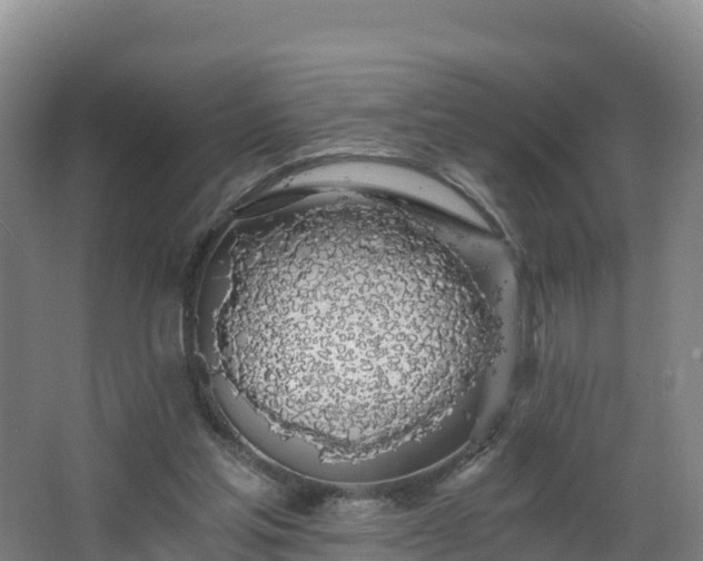 X0000068280205200604281626