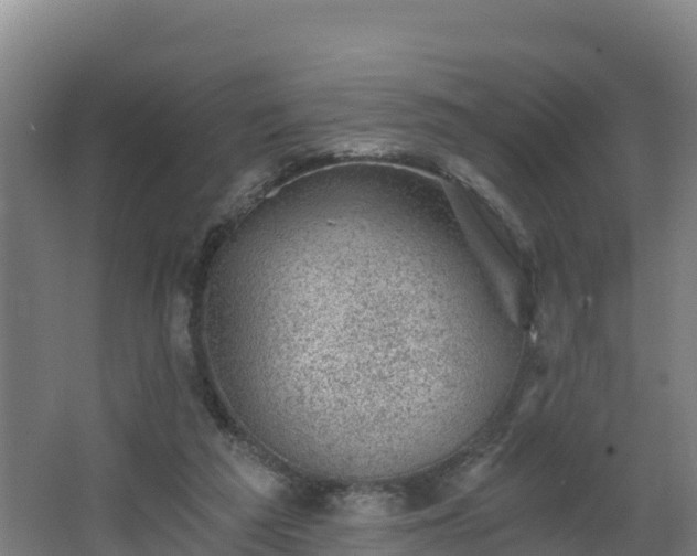 X0000068280209200604281626