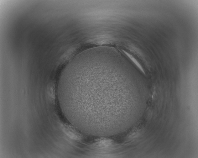 X0000068280210200604281626