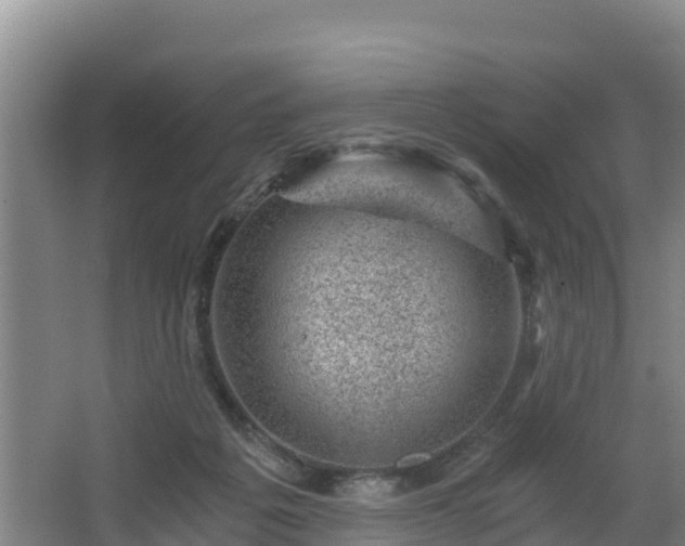 X0000068280217200604281626