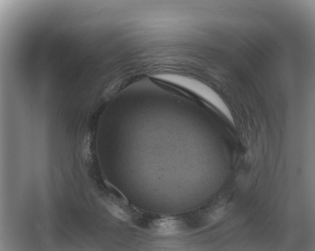 X0000068280219200604281626