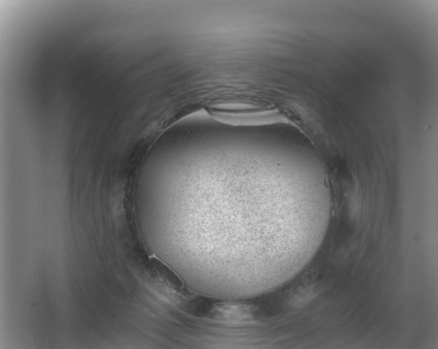 X0000068280221200604281626