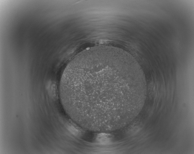 X0000068280222200604281626