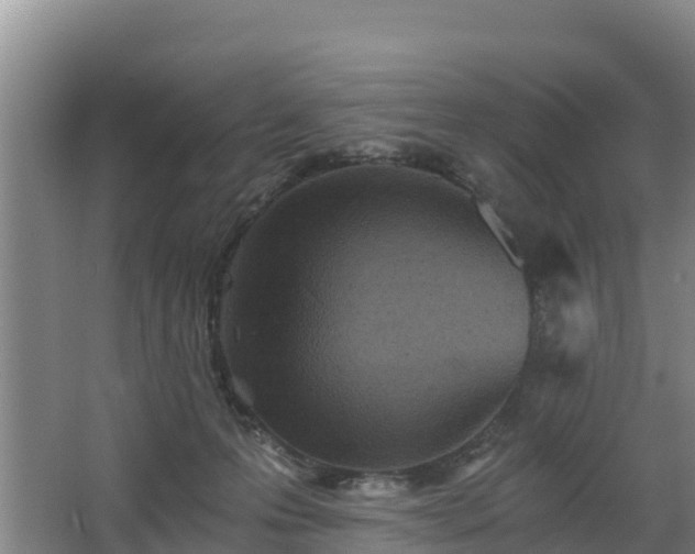 X0000068280223200604281626