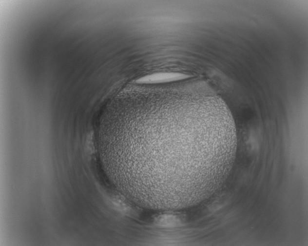 X0000068280224200604281626