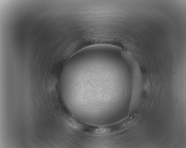 X0000068280225200604281626