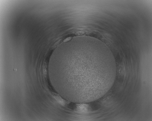 X0000068280226200604281626