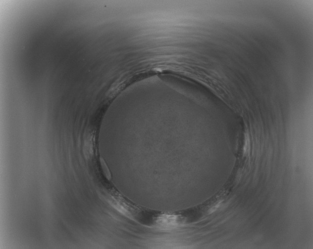 X0000068280227200604281626