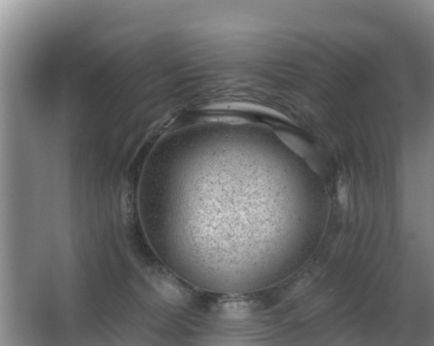 X0000068280228200604281626