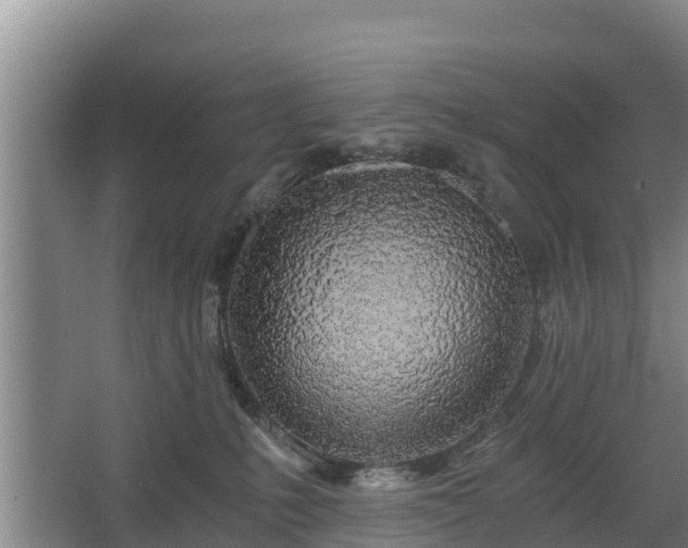 X0000068280231200604281626