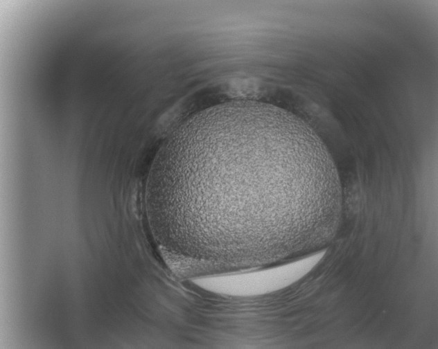 X0000068280233200604281626