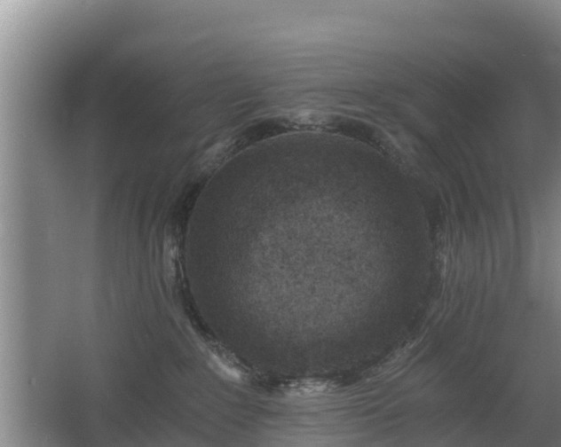 X0000068280235200604281626