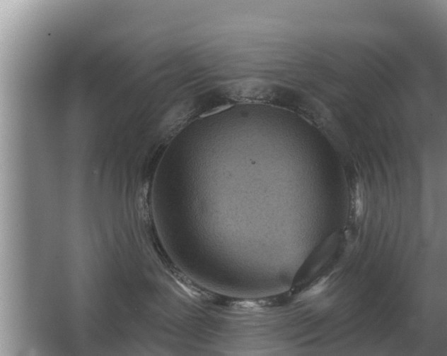 X0000068280239200604281626