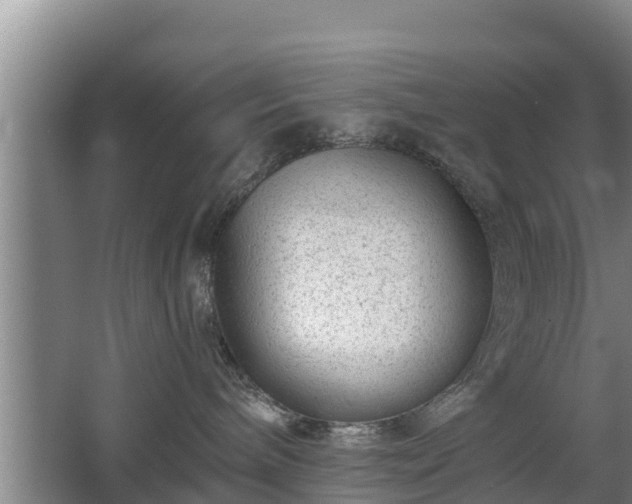 X0000068280240200604281626