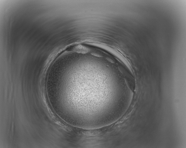 X0000068280241200604281625