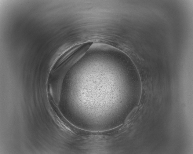 X0000068280242200604281625