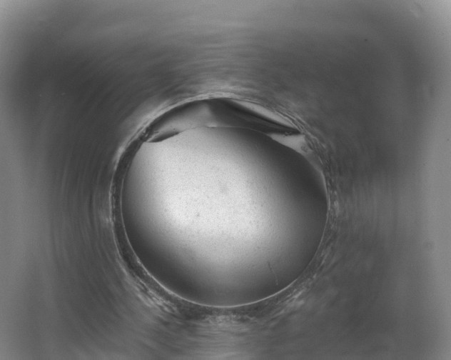 X0000068280244200604281625