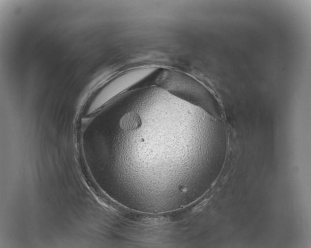 X0000068280245200604281625