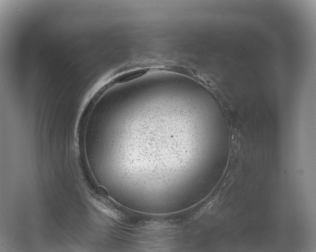 X0000068280246200604281625