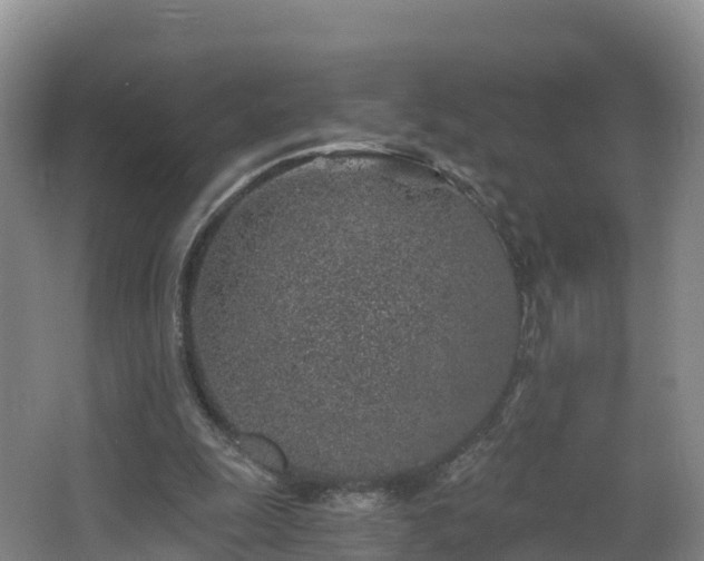 X0000068280247200604281625