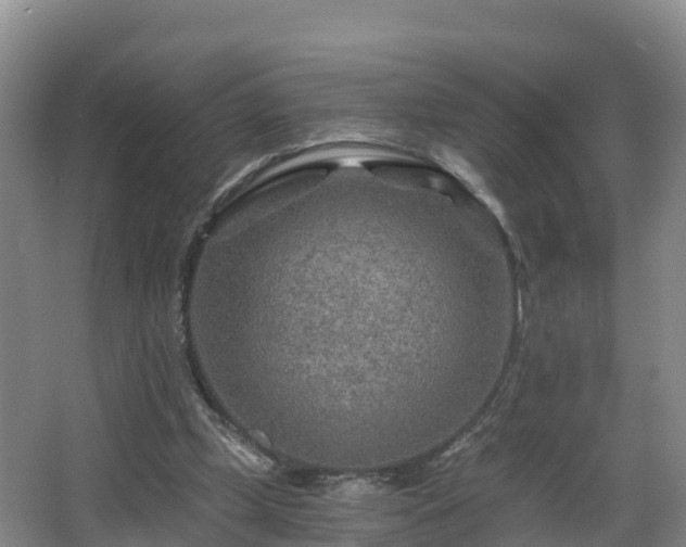 X0000068280249200604281625