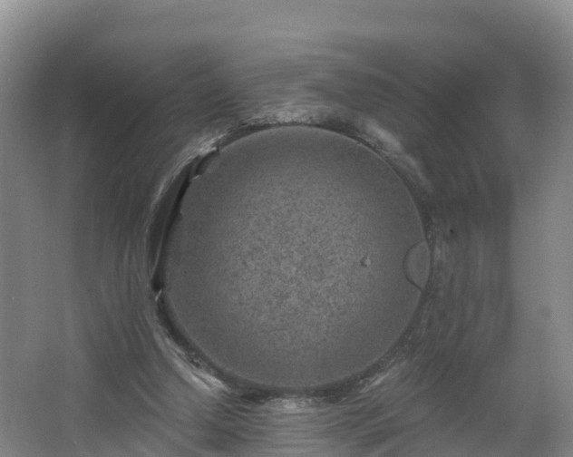 X0000068280250200604281625