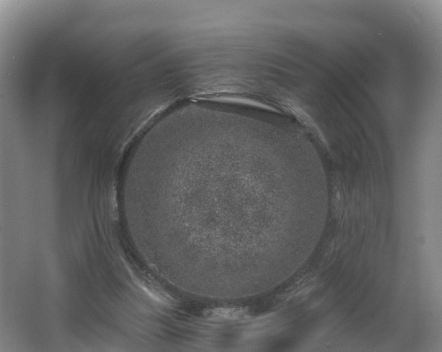 X0000068280251200604281625