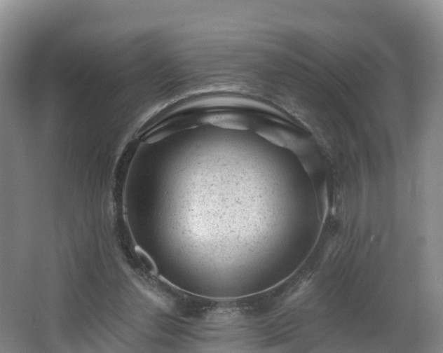 X0000068280252200604281625