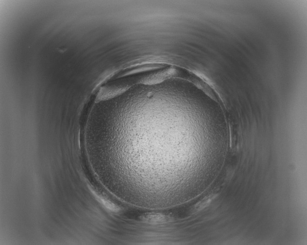 X0000068280253200604281625