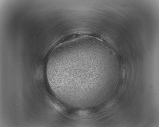 X0000068280255200604281625