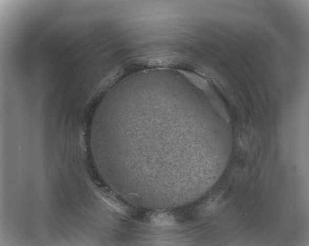 X0000068280258200604281625