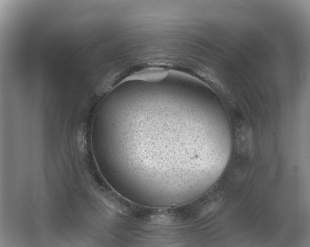 X0000068280259200604281625