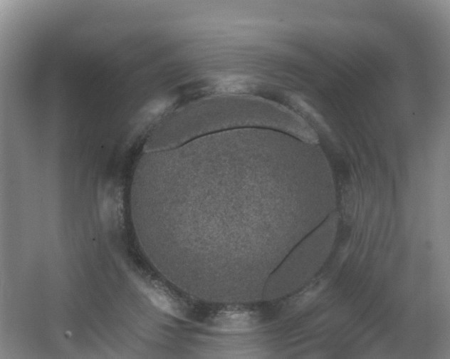 X0000068280260200604281625