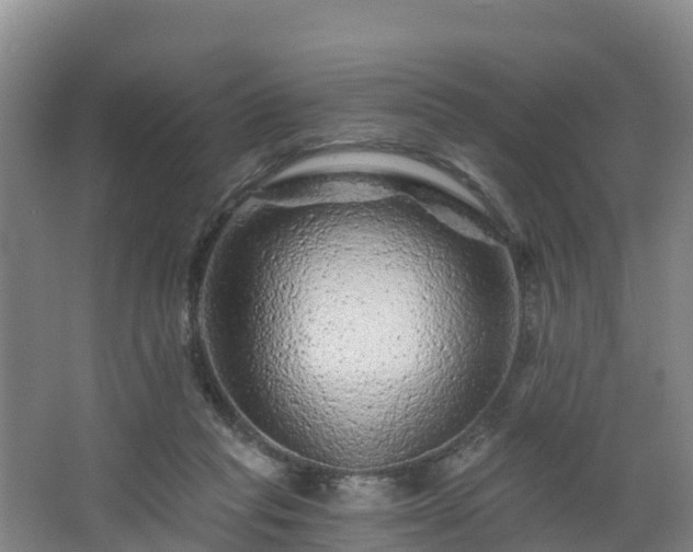 X0000068280261200604281625