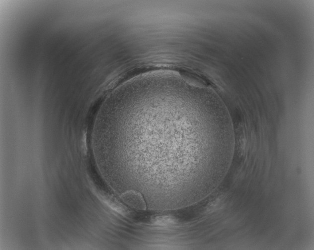 X0000068280262200604281625