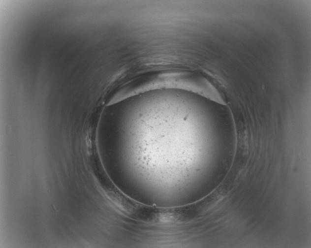 X0000068280264200604281625