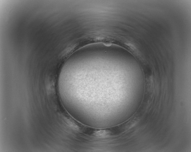 X0000068280269200604281625