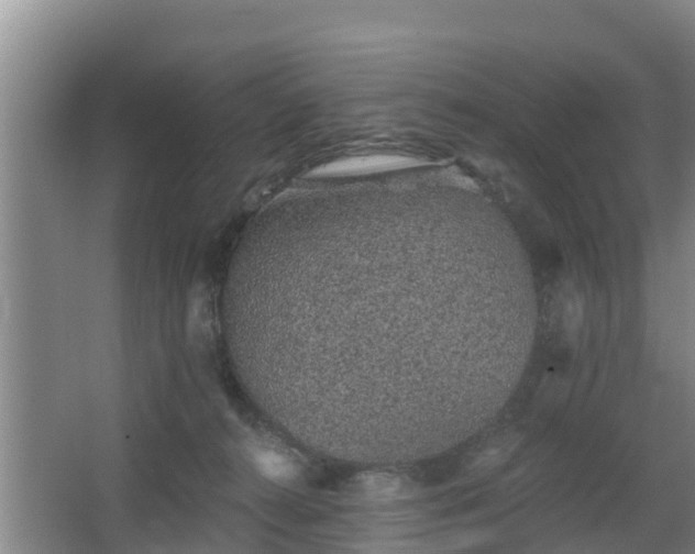 X0000068280272200604281625