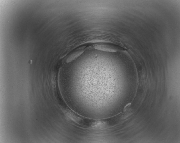 X0000068280274200604281625