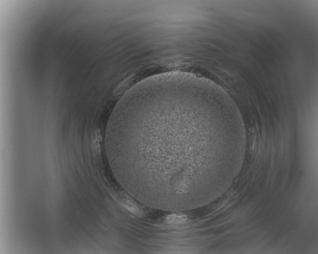 X0000068280279200604281625