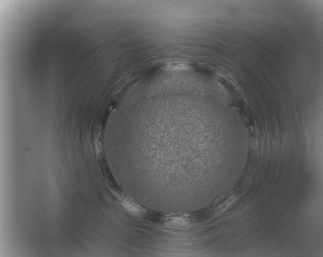 X0000068280285200604281625