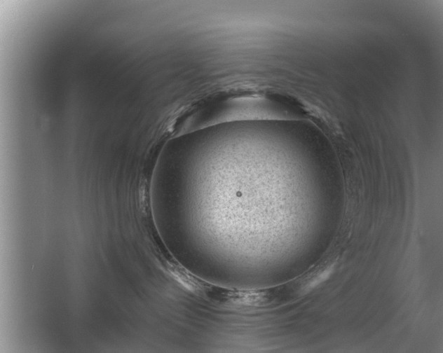 X0000068280288200604281626