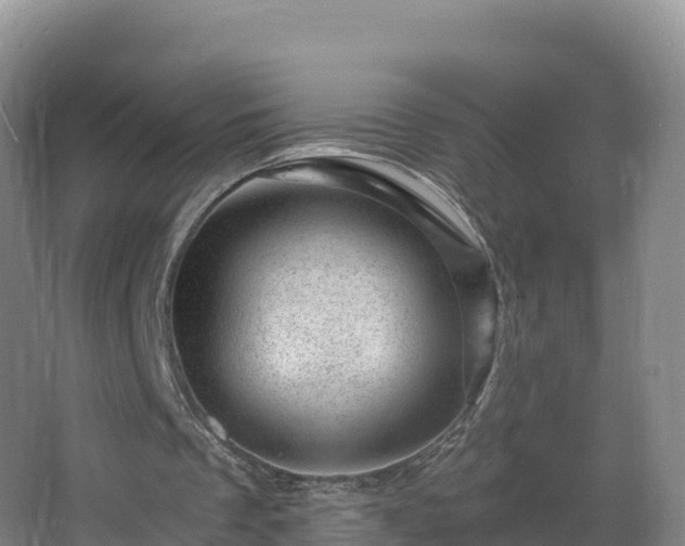 X0000068280289200604281625