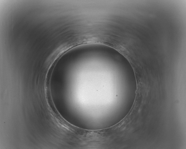 X0000068280290200604281625