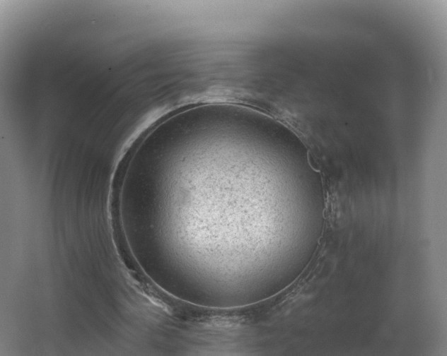 X0000068280292200604281625