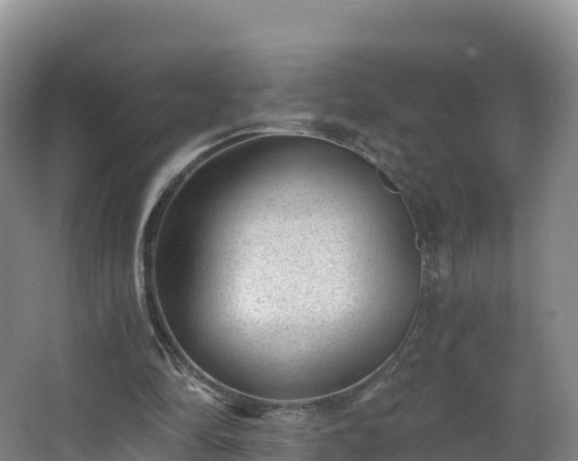 X0000068280294200604281625